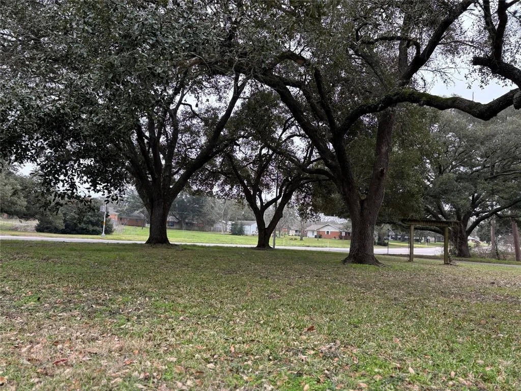Photo of LOTS 9 & 10 11th Street