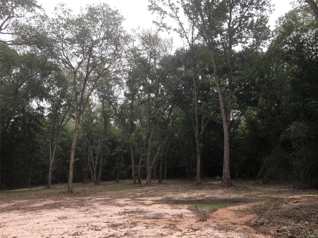 Photo of 1841 Pr 1315