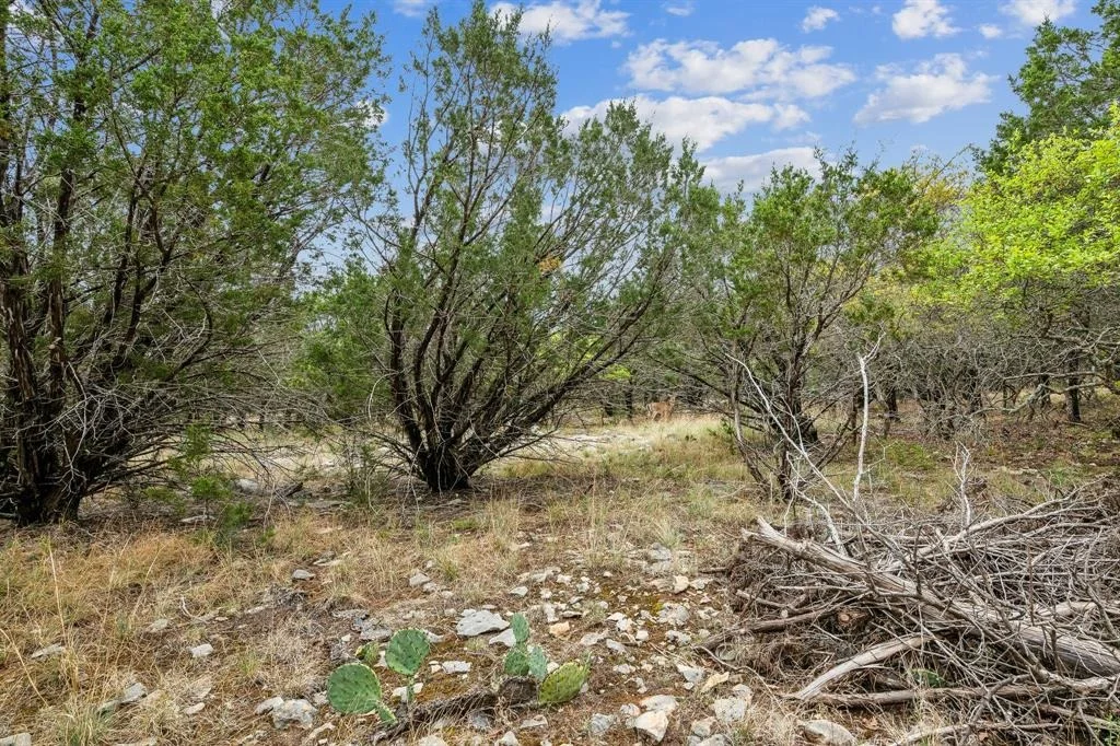 Photo of Lot 52 Carnoustie Drive