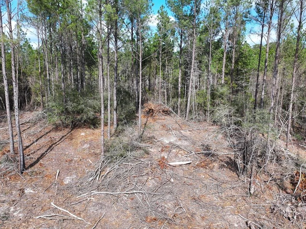 Photo of TBD Off Fm 355