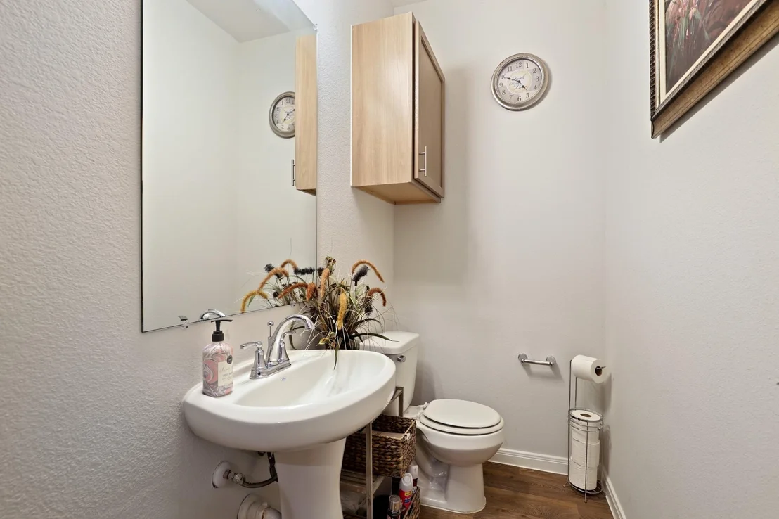 Photo of 206 Iris