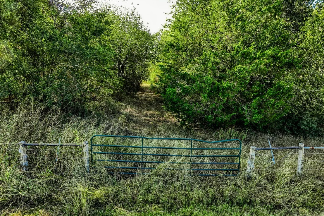 Photo of 460 County Road 328