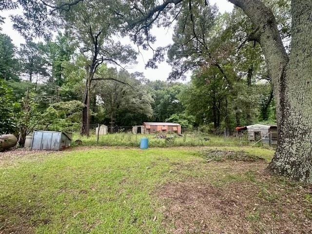 Photo of 612 Orms