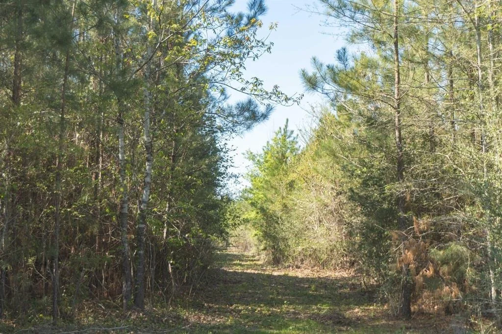 Photo of TBD 2 Robert Jones Rd