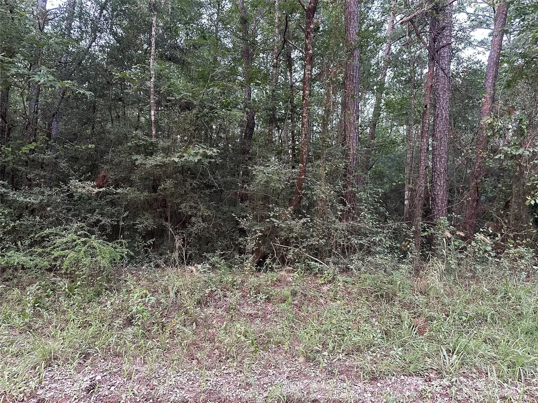 Photo of 2103 Jenkins Road