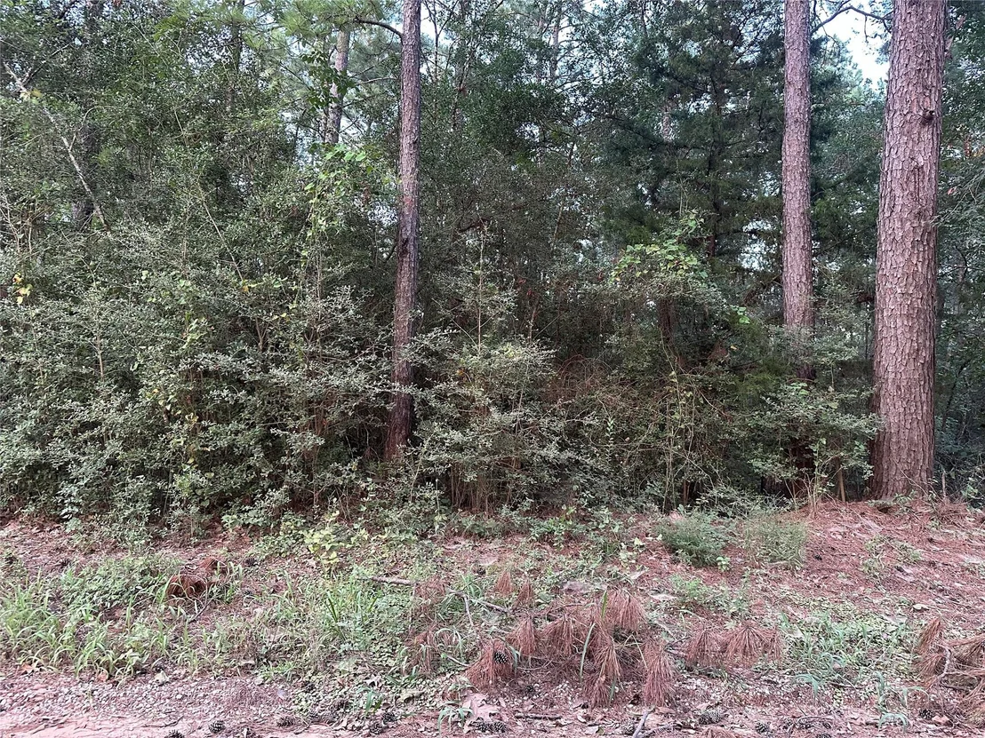 Photo of 2103 Jenkins Road