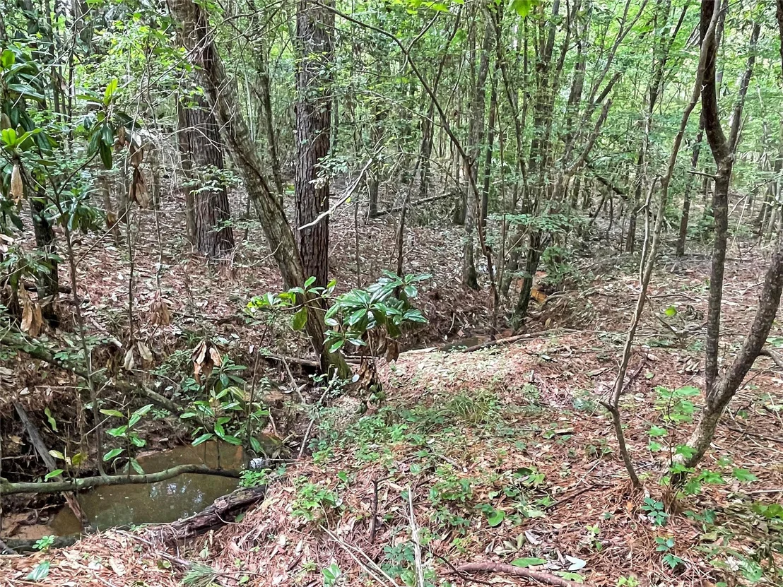 Photo of 5129 County Road 425