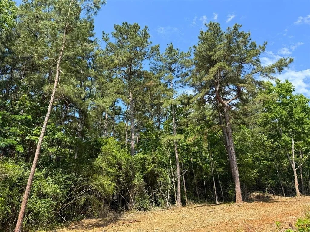 Photo of 3 Camp Ruby Road
