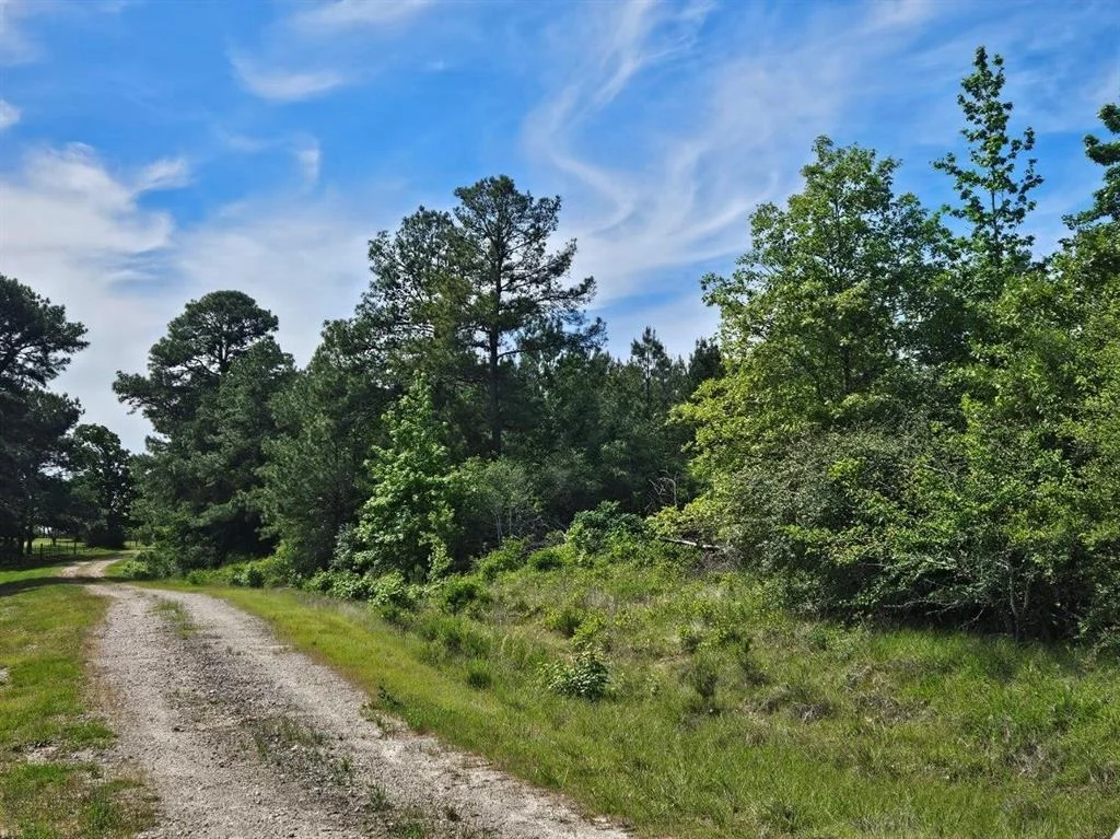 Photo of tbd Hollybrook Drive