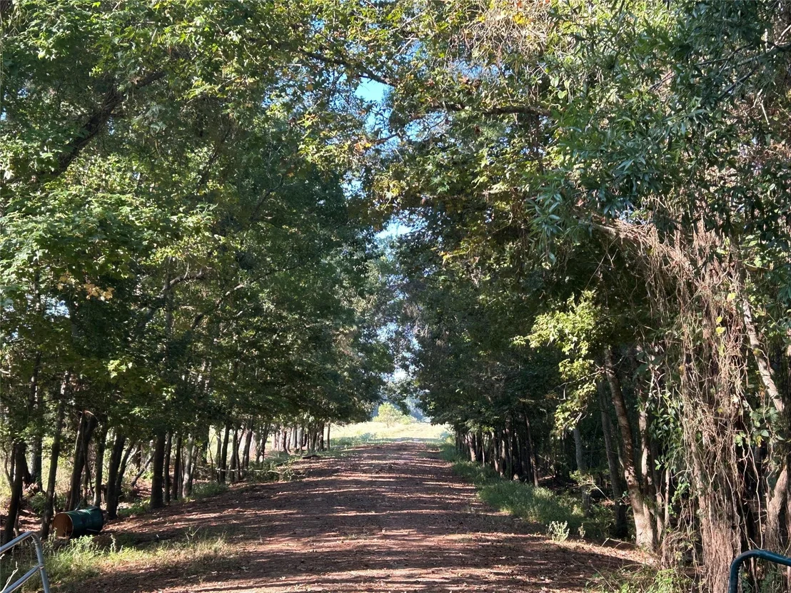 Photo of Lot 61 Minnie West Drive