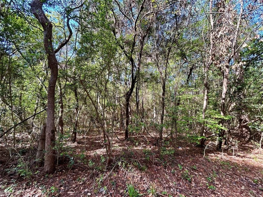 Photo of TBD Copperhead Road