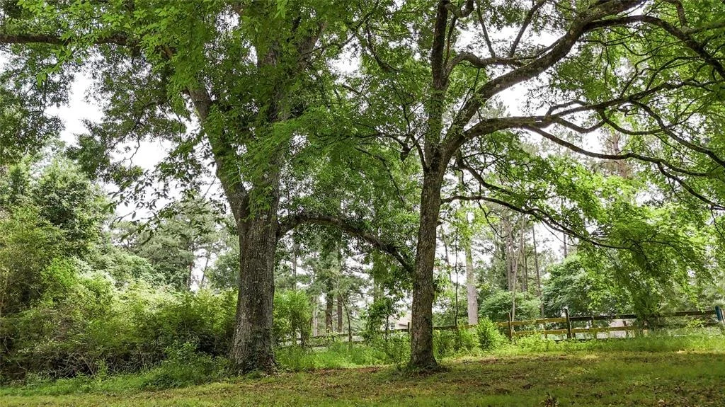 Photo of 2700 Spring Branch Road