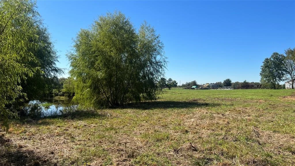Photo of Lot 2 Cr 319