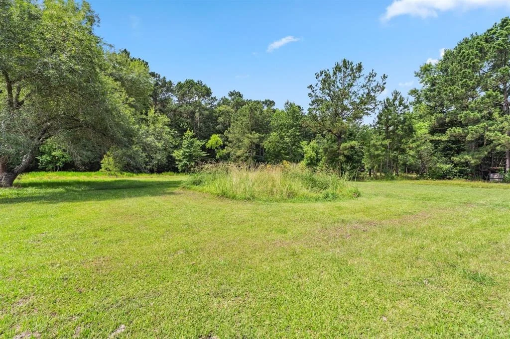 Photo of 113 County Road 2229
