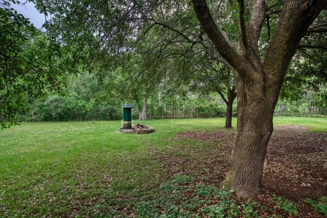 Photo of 308 County Road 893b