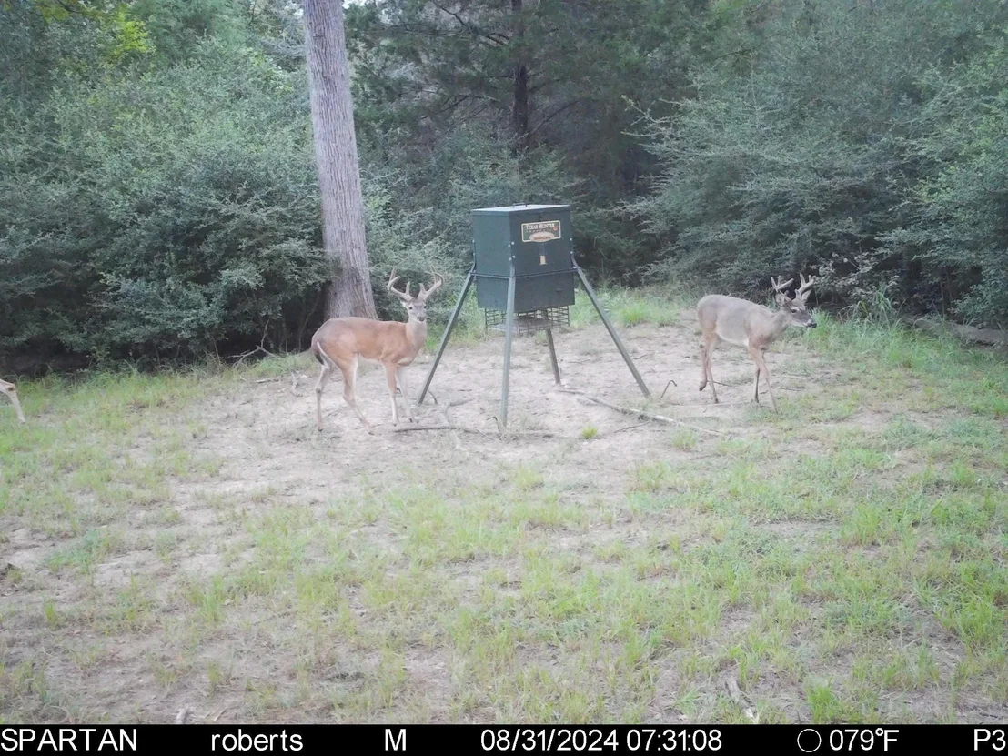 Photo of 18242 Old Bundick Road