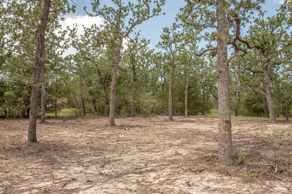 Photo of 103 Fox Hollow