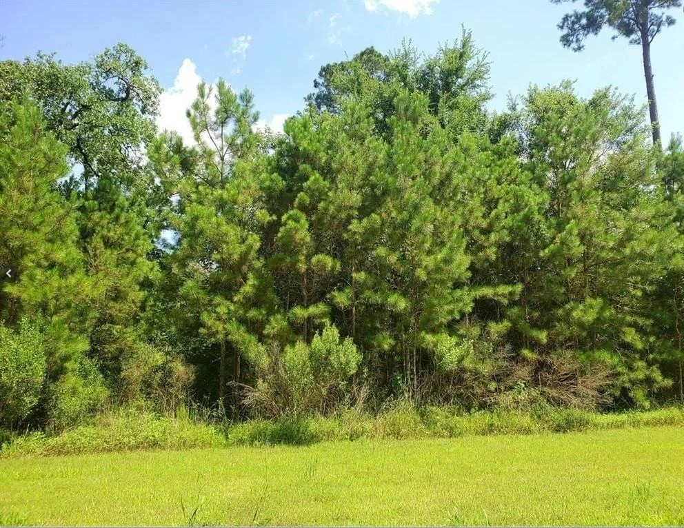 Photo of 69 Kings Lake Estates Boulevard