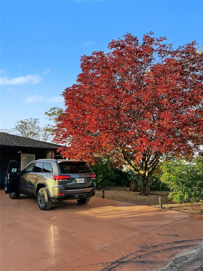 Photo of 5 Date Street