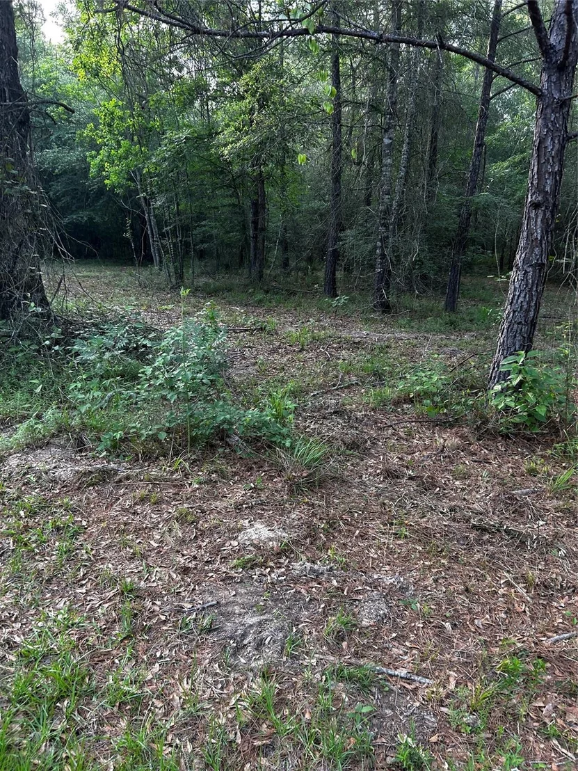 Photo of 0 County Line Road