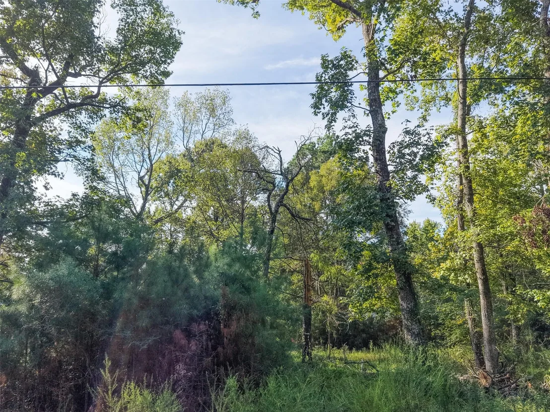 Photo of 562 Magnolia Park