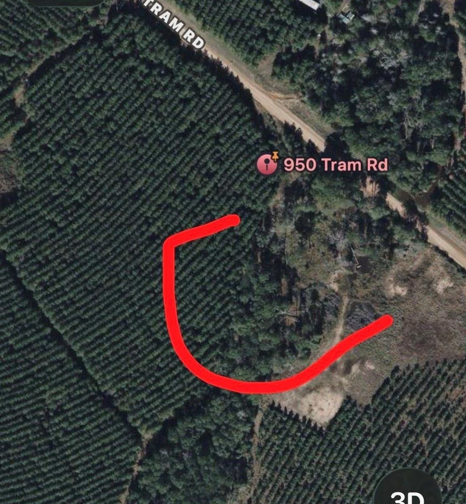 Photo of 950 Tram Road