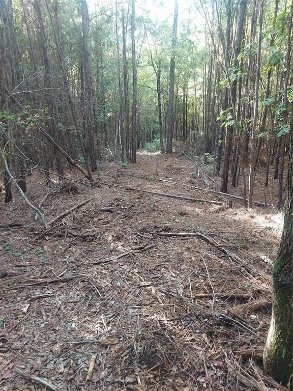 Photo of 526 Pleasure Point
