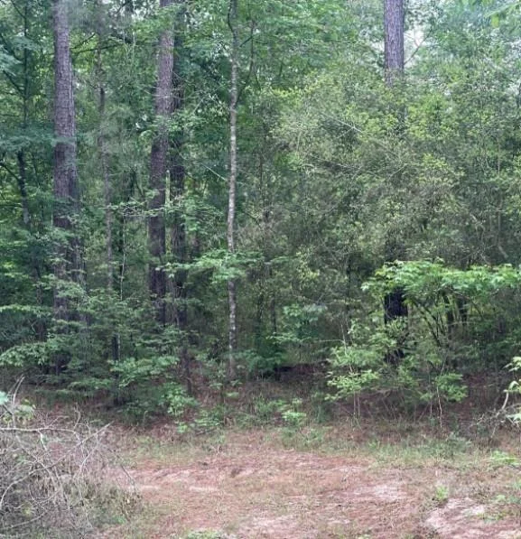 Photo of 11544 Inspiration Drive