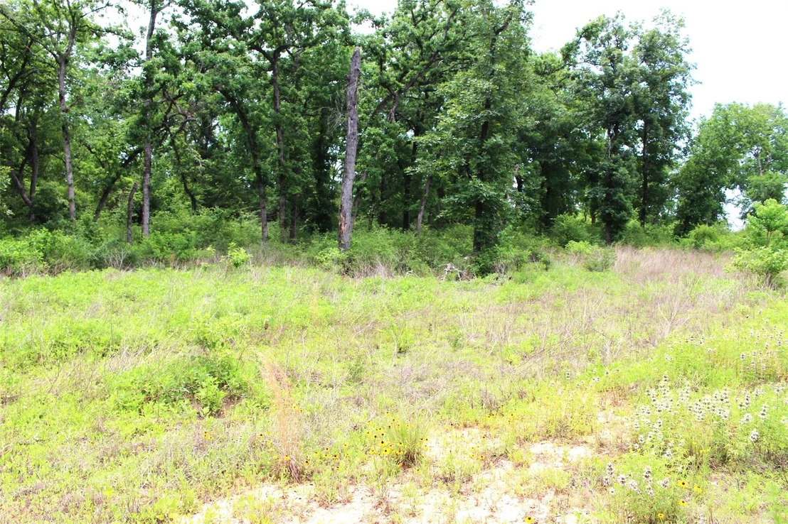 Photo of Tract 174 Pr 1311