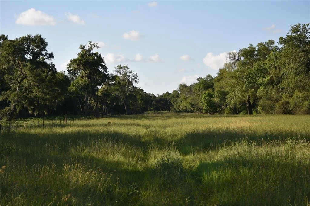 Photo of 5300 U-Pond Drive/County Road 611