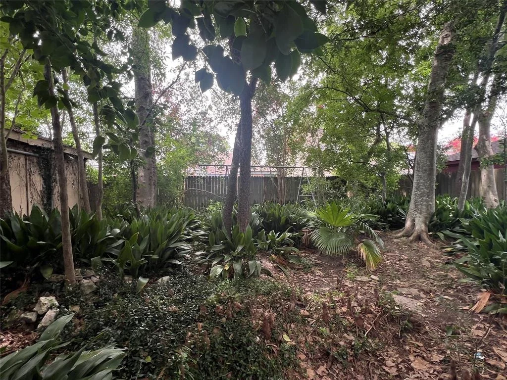 Photo of 11410 High Star Drive