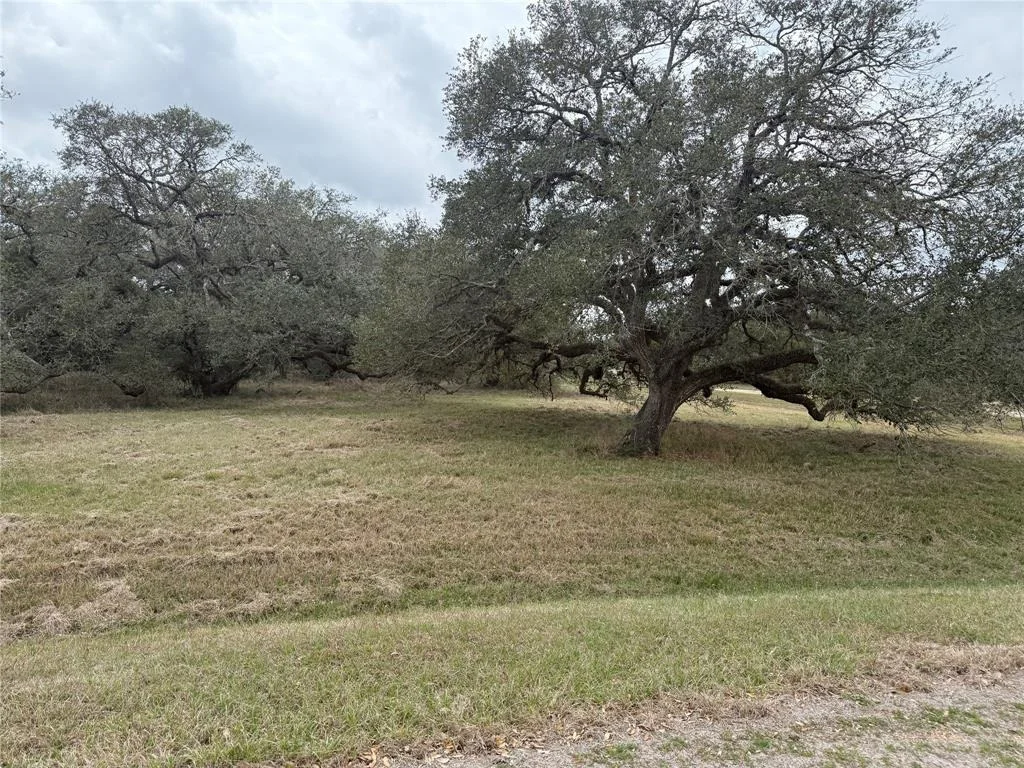 Photo of 114 Center Tree Drive