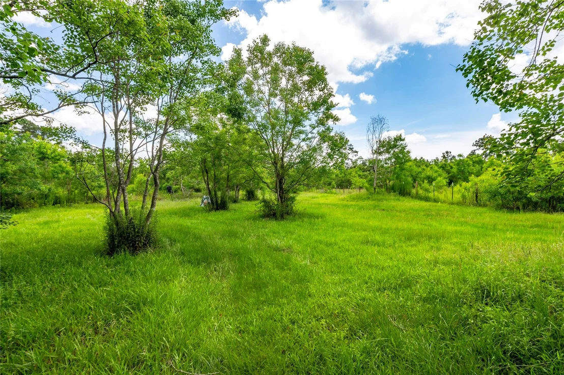 Photo of 164 County Road 676