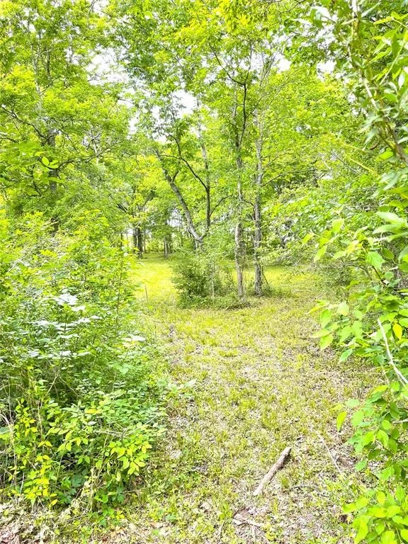 Photo of 5135 County Road 288