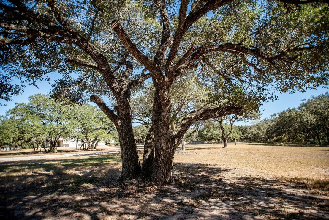 Photo of 437 Bischoff Road