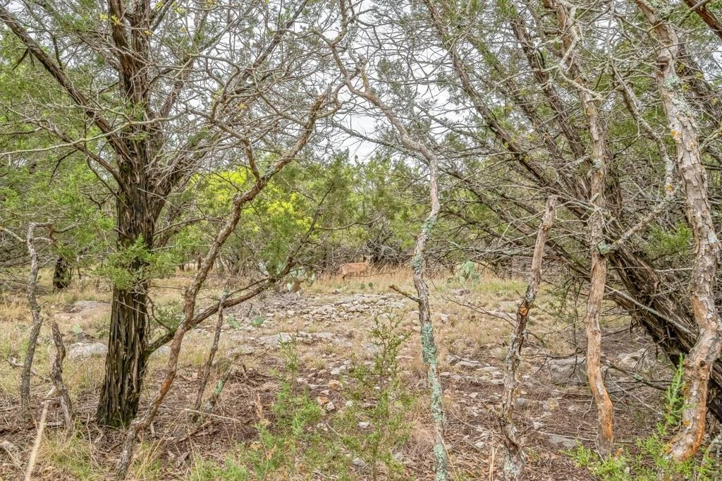 Photo of Lot 52 Carnoustie Drive