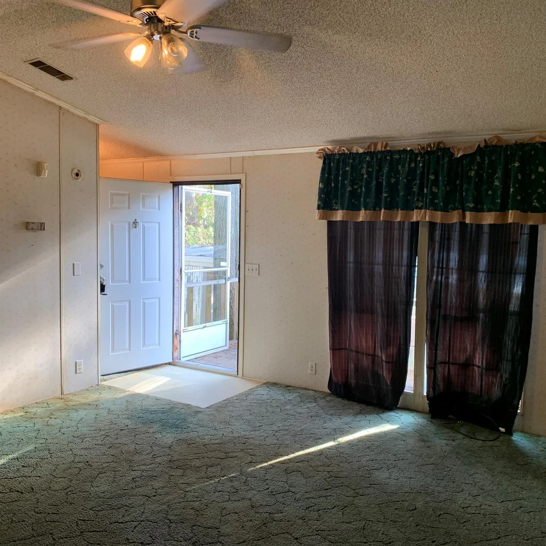 Photo of 202 Armadillo T