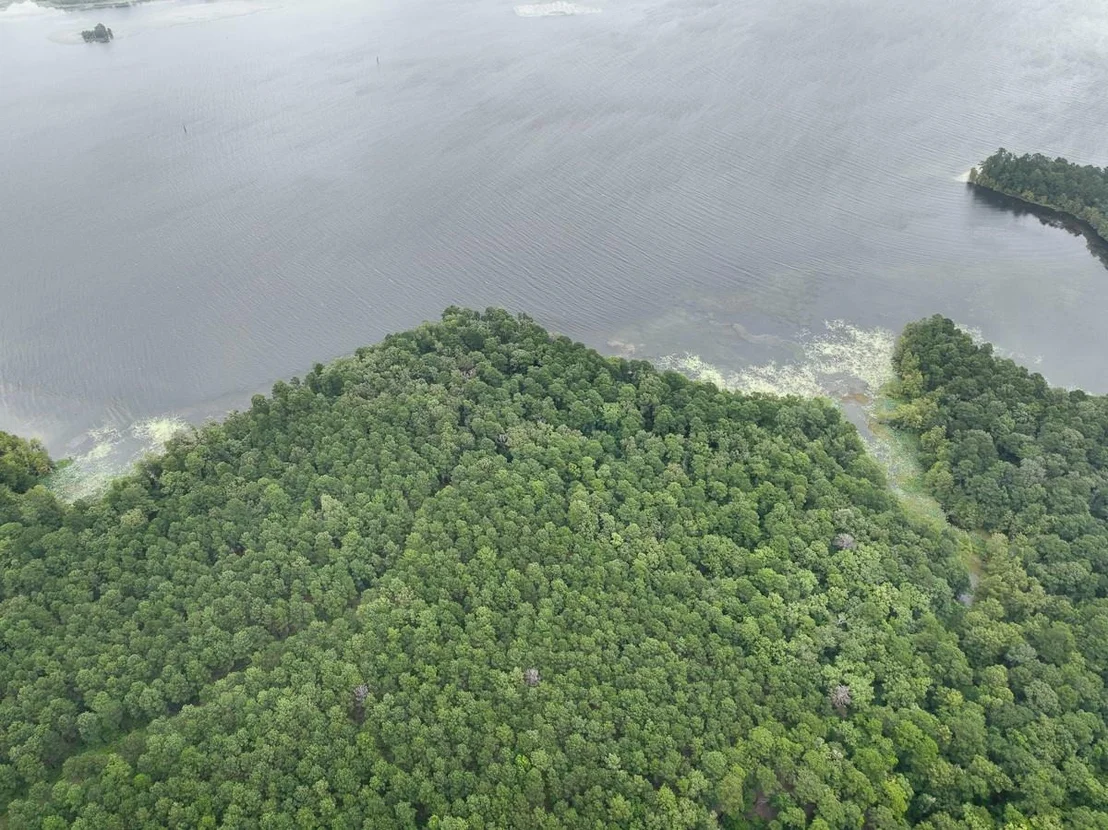 Photo of 4.5 Arledge Trail/Off Gateway Meadows