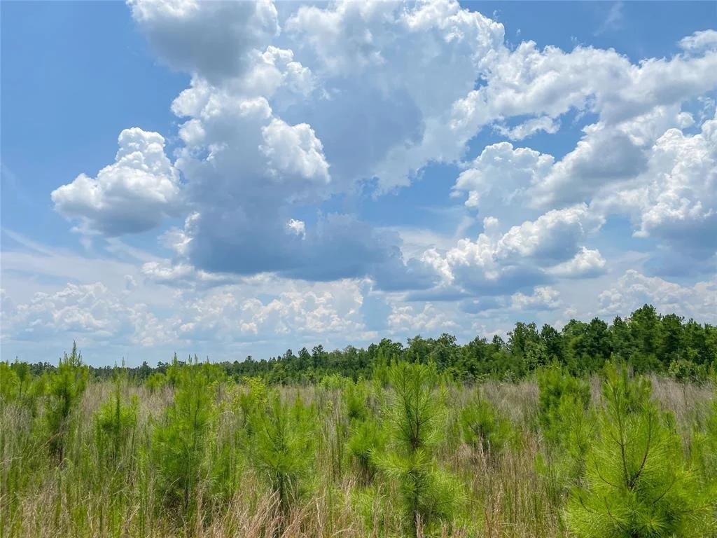 Photo of 0 Us Hwy 59