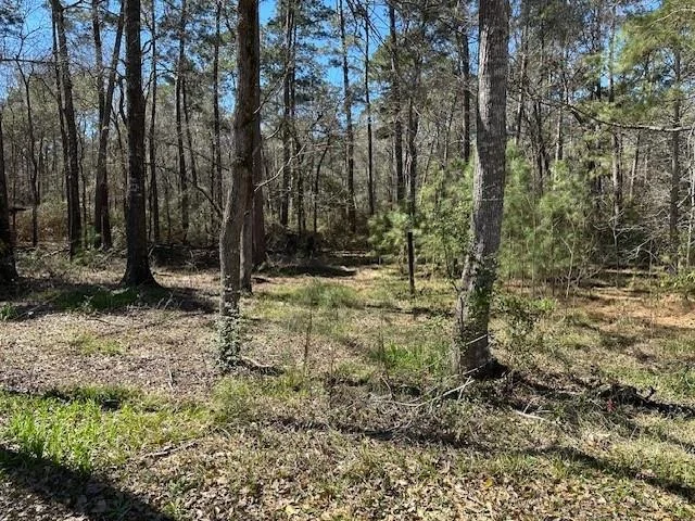 Photo of 15819 Forest Drive