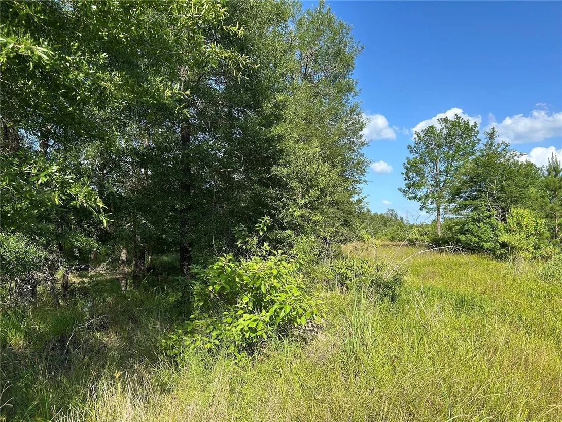 Photo of Tract 35 Fm 230