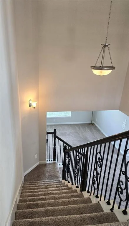 Photo of 18202 Swallow Springs Way