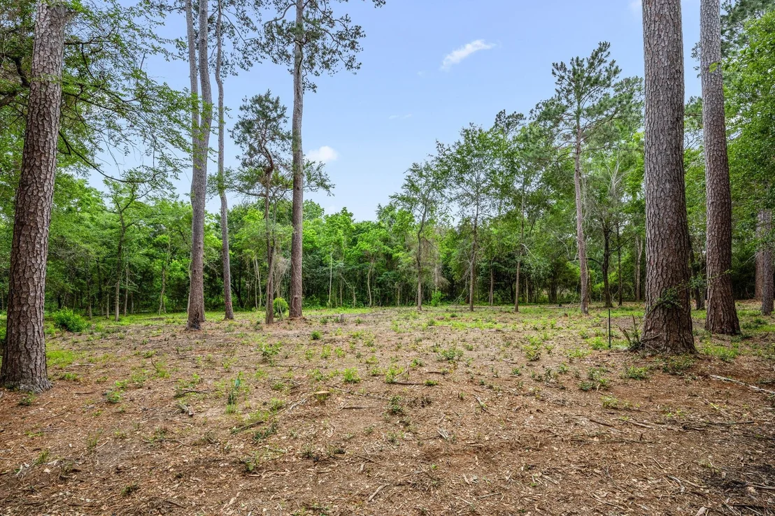 Photo of 26020 Pine Shadows Drive