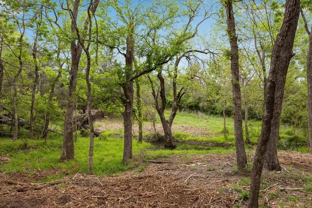Photo of 4499 Old Navasota Rd