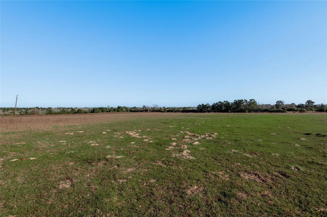 Photo of TBD County Road 204