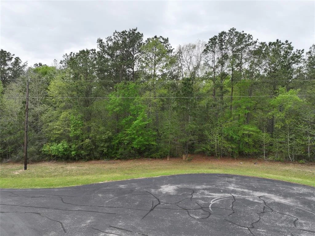 Photo of 17528 Plantation Dr