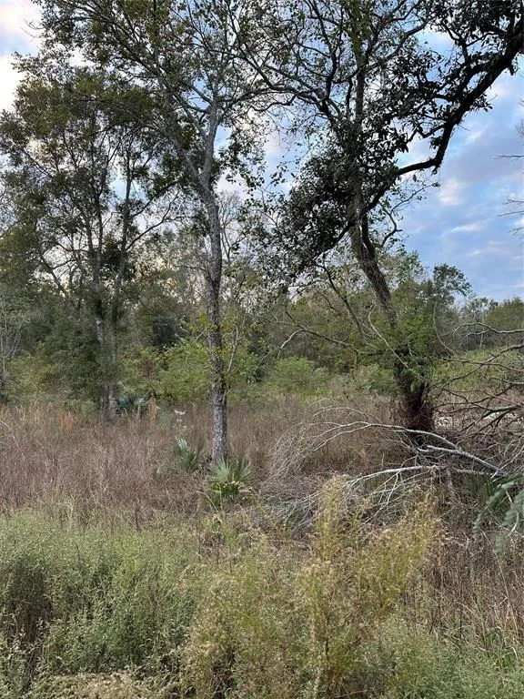 Photo of 7236 County Road 3