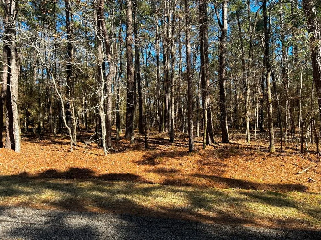 Photo of 55 Green Tree Drive