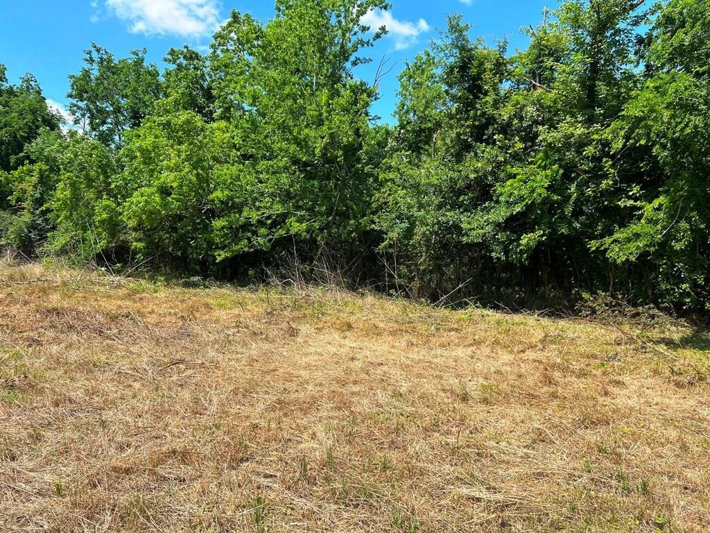 Photo of 3509 Stella Road