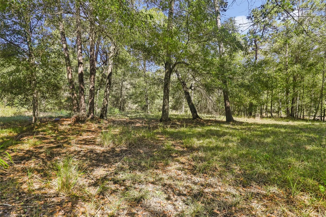 Photo of 1132 County Road 112